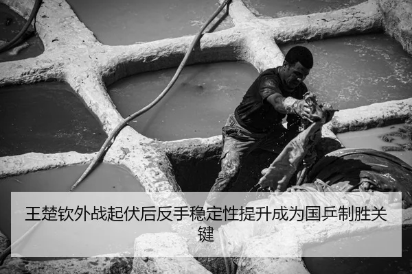 王楚钦外战起伏后反手稳定性提升成为国乒制胜关键